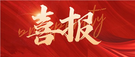喜報！進(jìn)芯電子入選2022年湖南省專精特新“小巨人”企業(yè)名單！